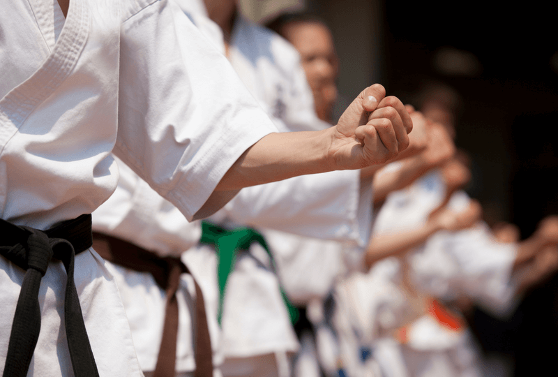 Okinawa Karate Center class information